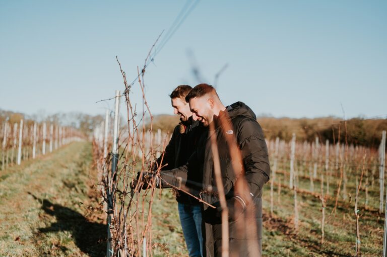 McNeill Vineyard Management – Essex